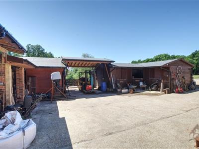 Picture 23